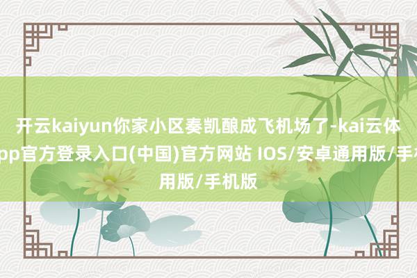 开云kaiyun你家小区奏凯酿成飞机场了-kai云体育app官方登录入口(中国)官方网站 IOS/安卓通用版/手机版