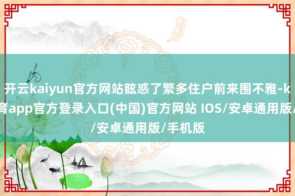 开云kaiyun官方网站眩惑了繁多住户前来围不雅-kai云体育app官方登录入口(中国)官方网站 IOS/安卓通用版/手机版