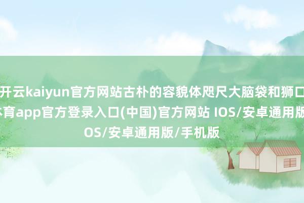 开云kaiyun官方网站古朴的容貌体咫尺大脑袋和狮口-kai云体育app官方登录入口(中国)官方网站 IOS/安卓通用版/手机版